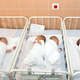 Image for article titled There's a 65-Year-Old Grandma Pregnant With Quadruplets in Germany